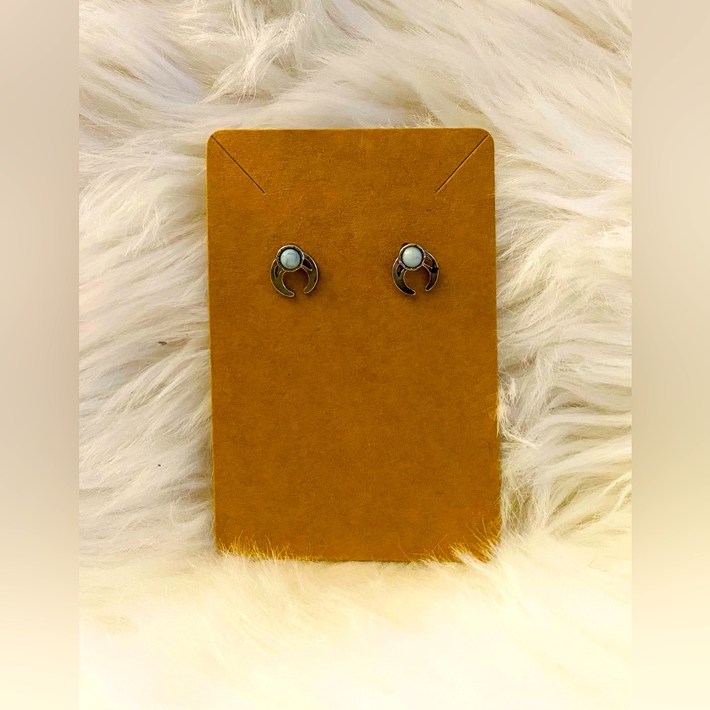 Boutique Hypoallergenic Earrings